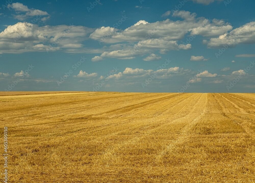 AdobeStock_605305150_Preview